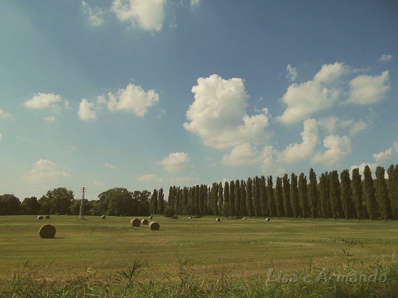 verso felonica 674.JPG